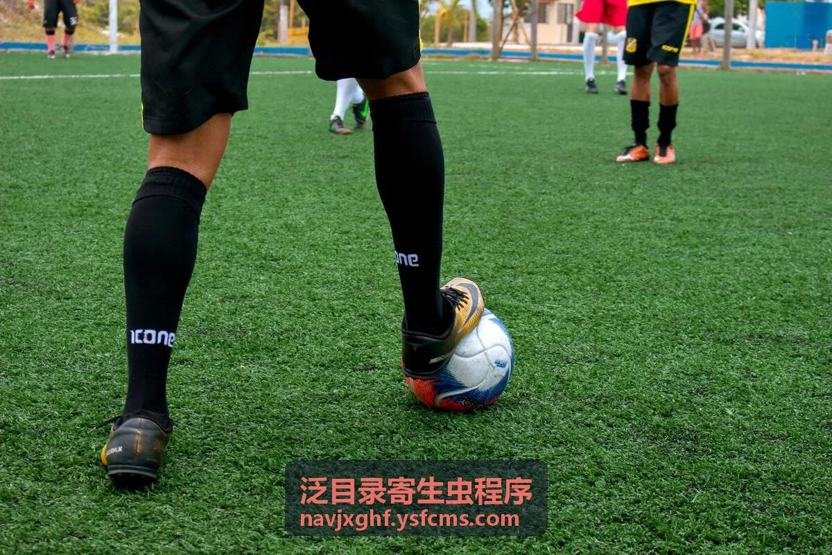blog泛目录秒收程序陌生页面收录排查